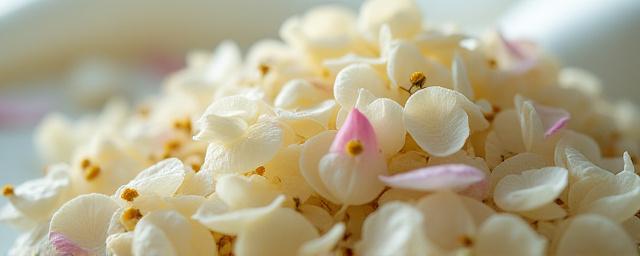 Moonlit Jasmine floral desert tea blend